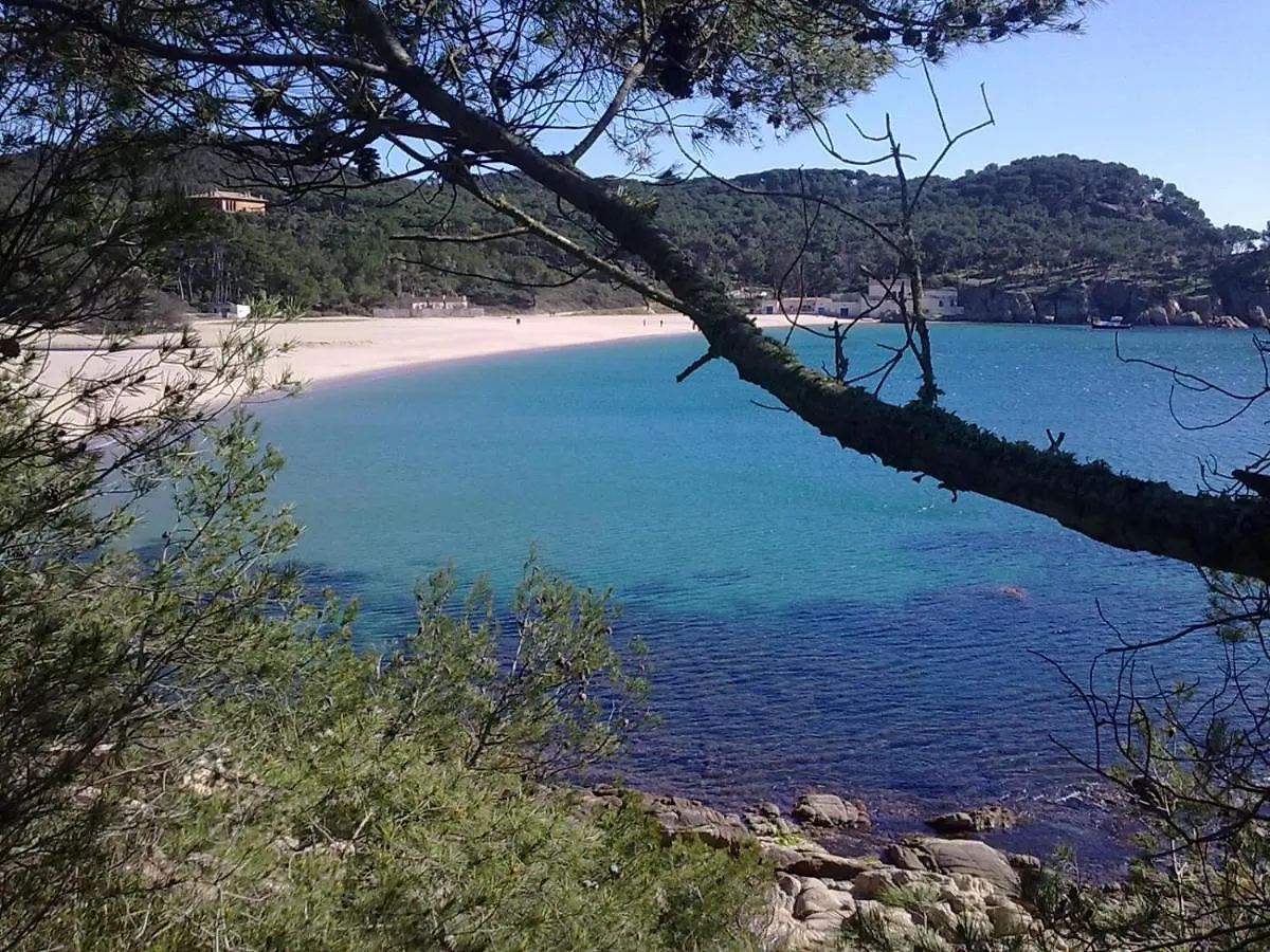 Hotel Ancora Palamós